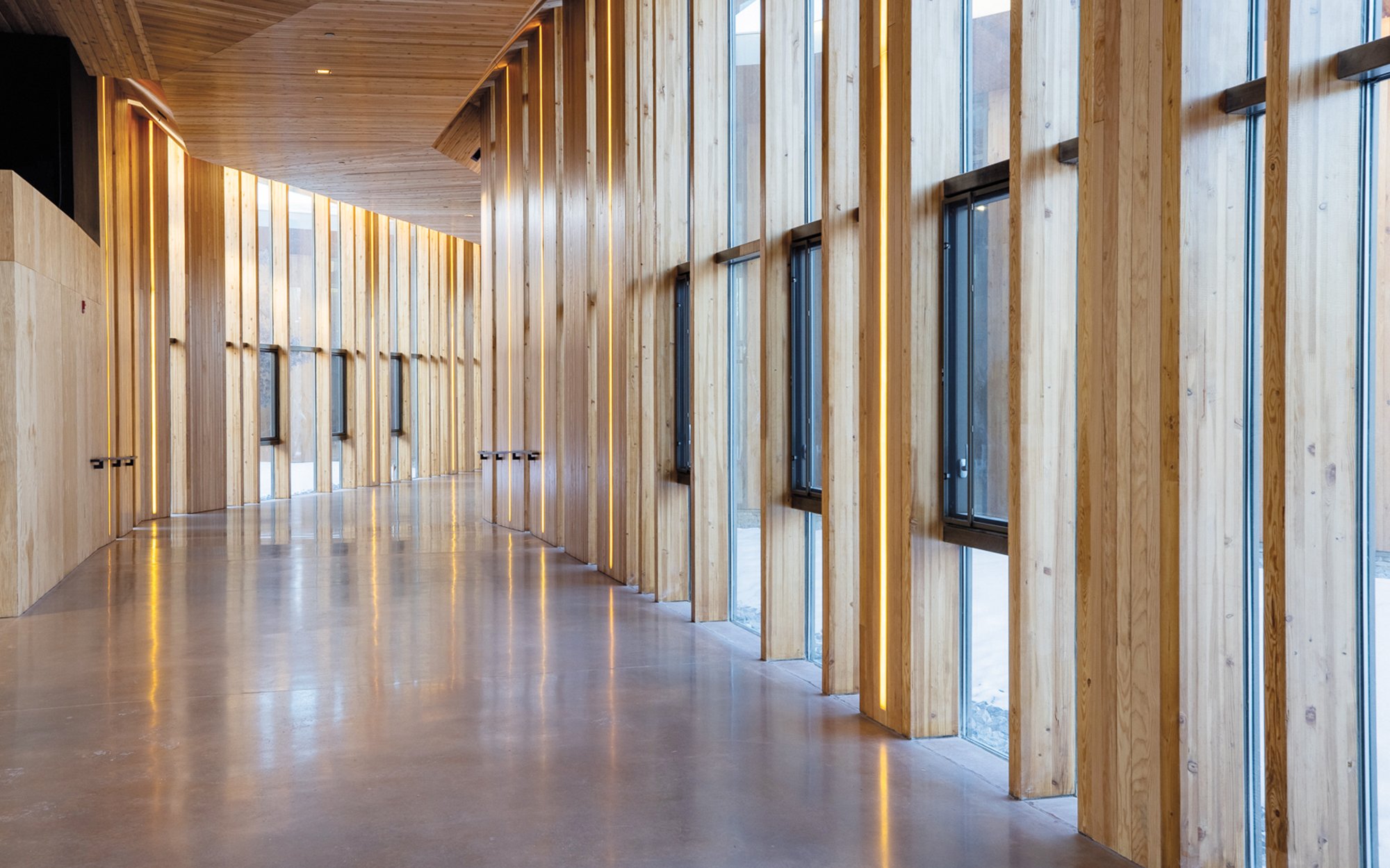 A walkway of a curved building made in mass timber wood construction showing the performance of wood in interiors.