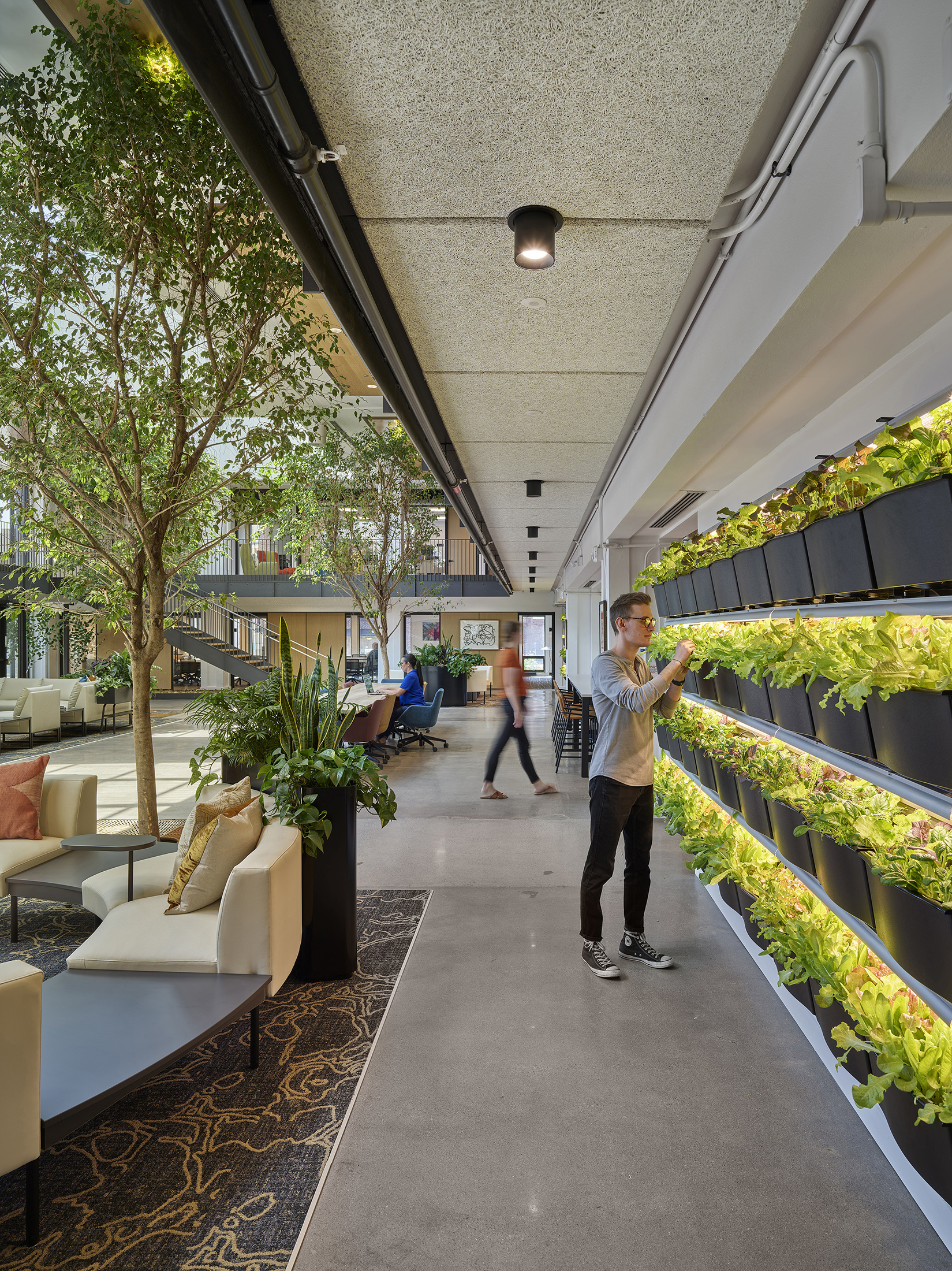 A person looking at vertical greens in the open layout office space and lobby.